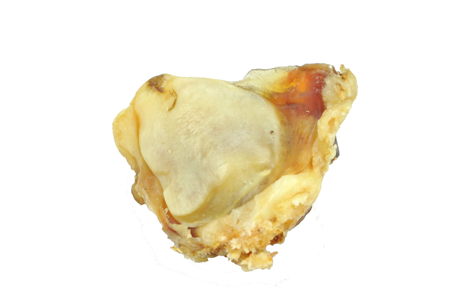 USA Beef Kneecaps for Dogs - All Natural 100% Healthy Dog Training Treats Chews, Long Lasting Knee Caps