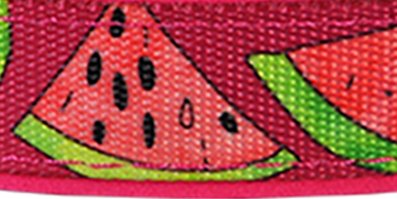 Adjustable Fruit Pattern Dog Collar - Multi-Size and Color Options