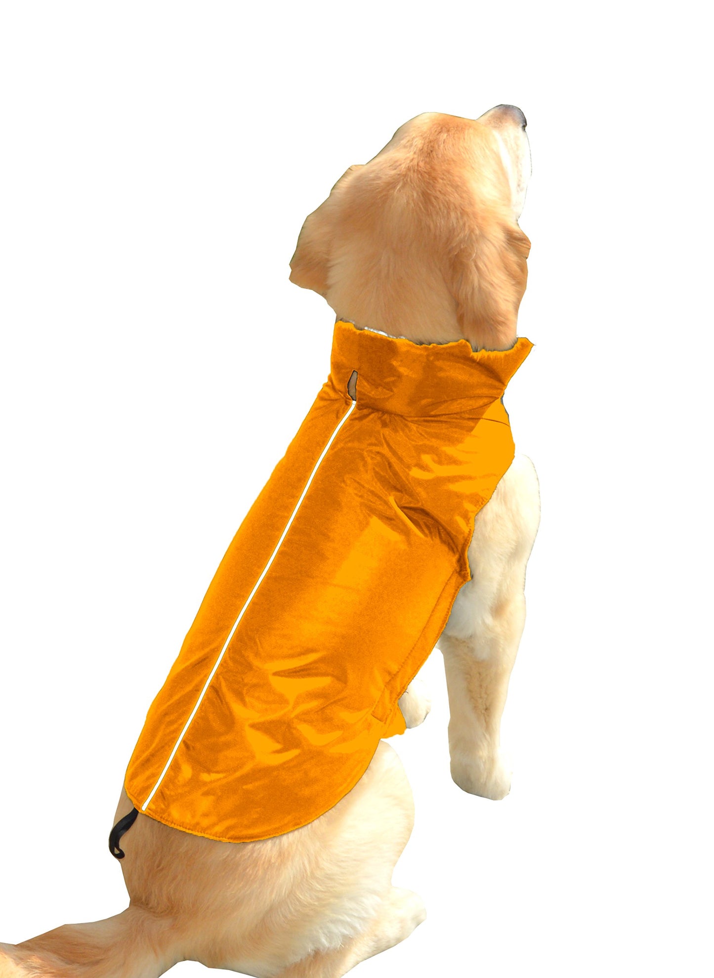 Fleece Lined Dog Jacket - Multi-Color and Size Options