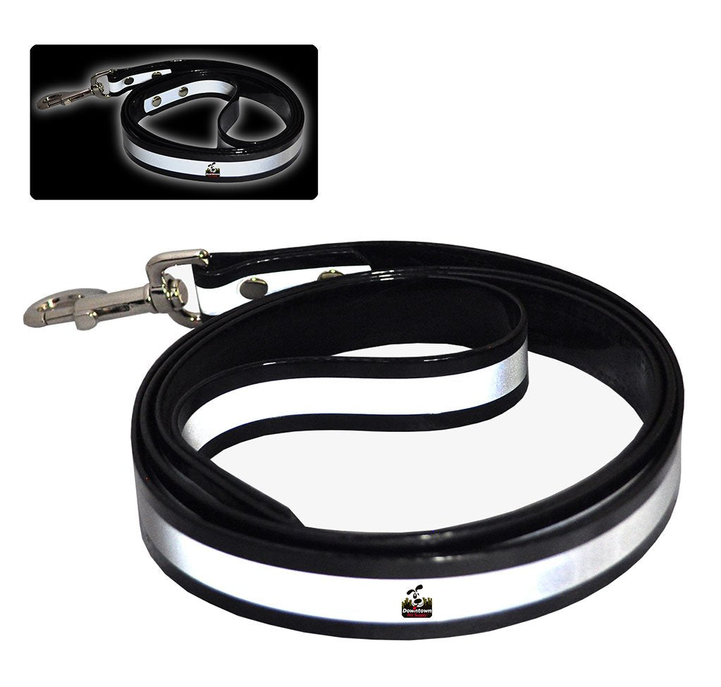 5' Long Reflective Dog Leash - Multi-Color Options
