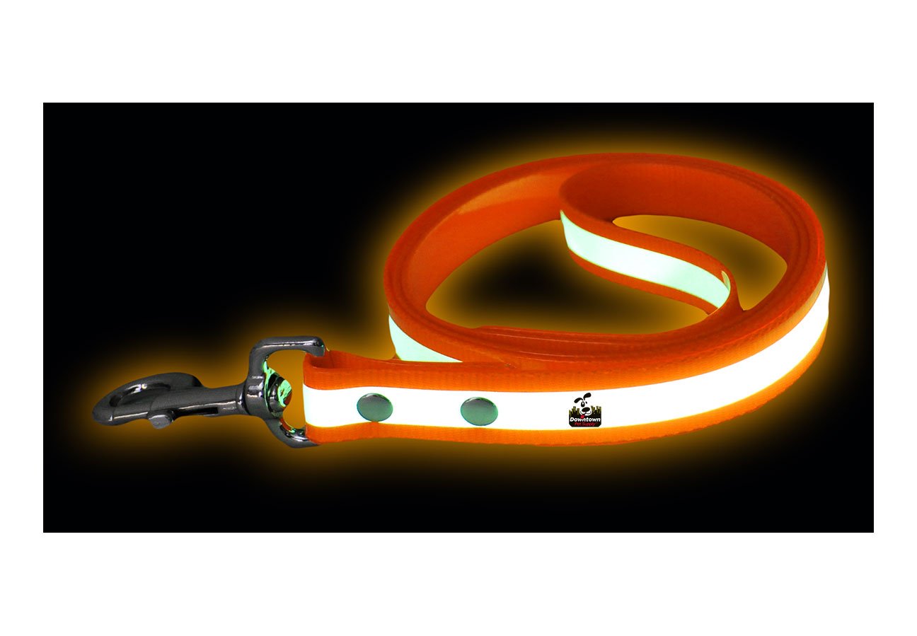 Dog Leash - Glow In The Dark - Multi-Color Options