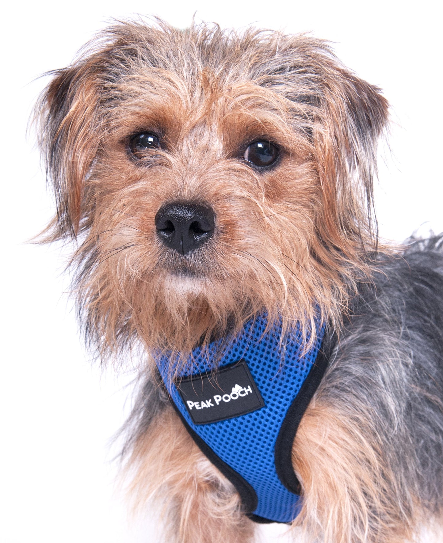 Peak Pooch Comfort Harness, Puppies, Small and Medium Dogs