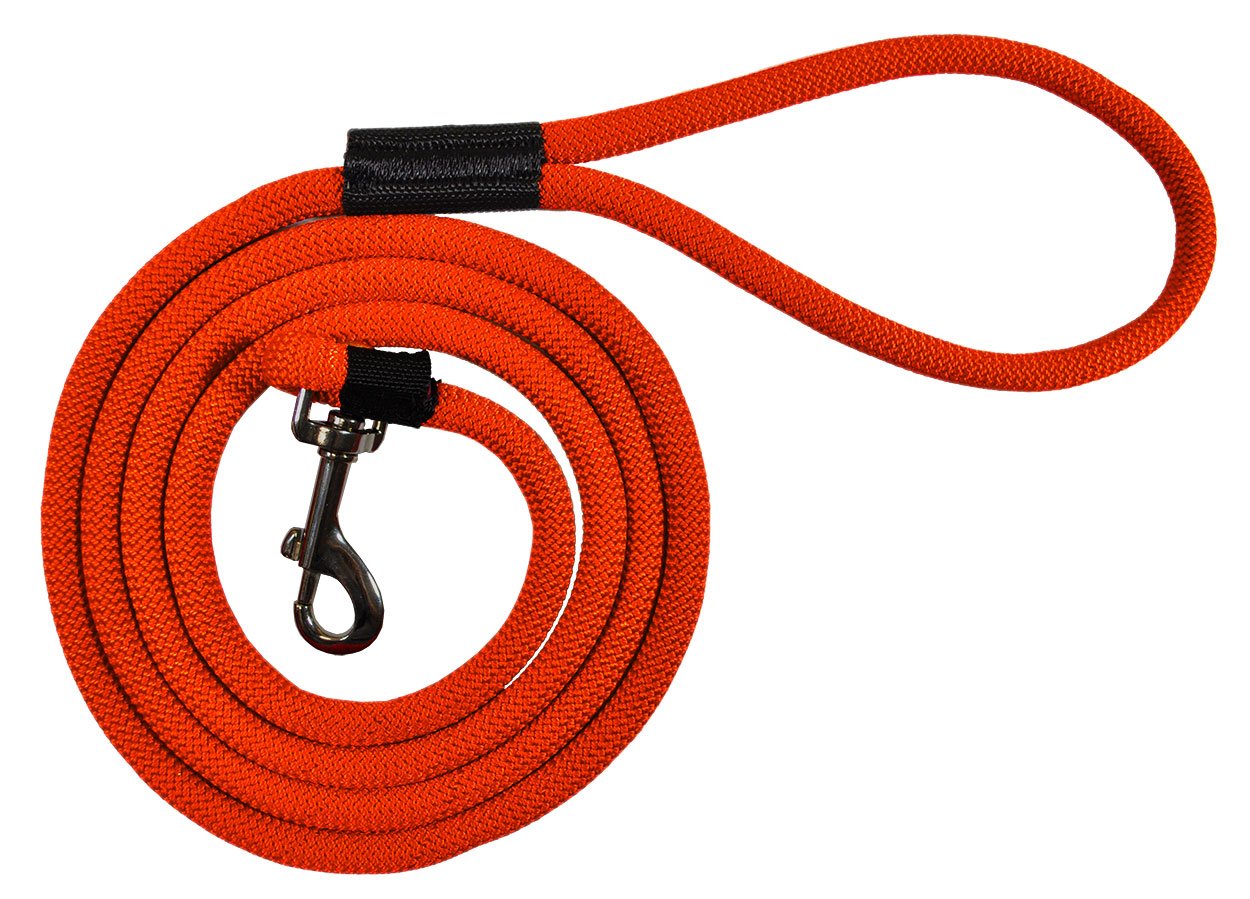 Durable 2' and 6' Long Dog Rope Leash - Multi-Color Options