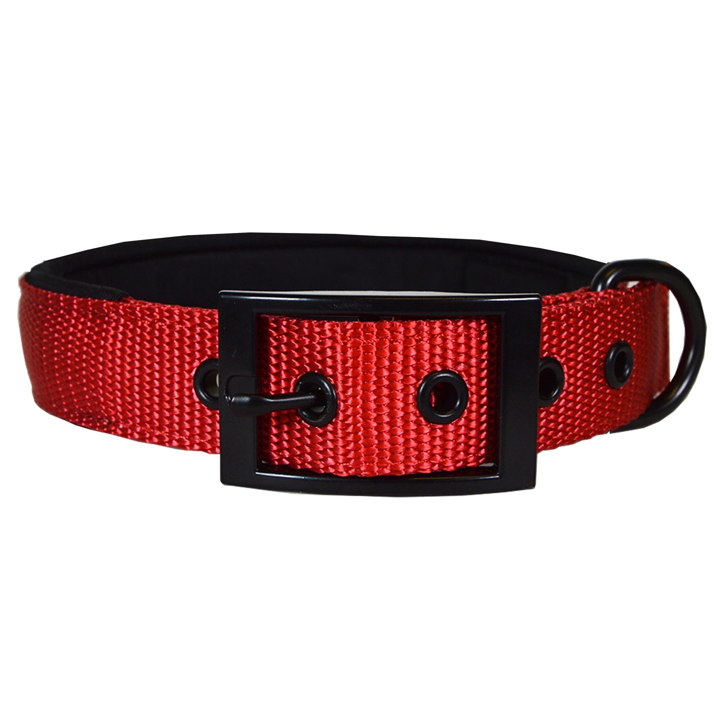 Adjustable Designer Dog Collar - Multi-Size and Color Options
