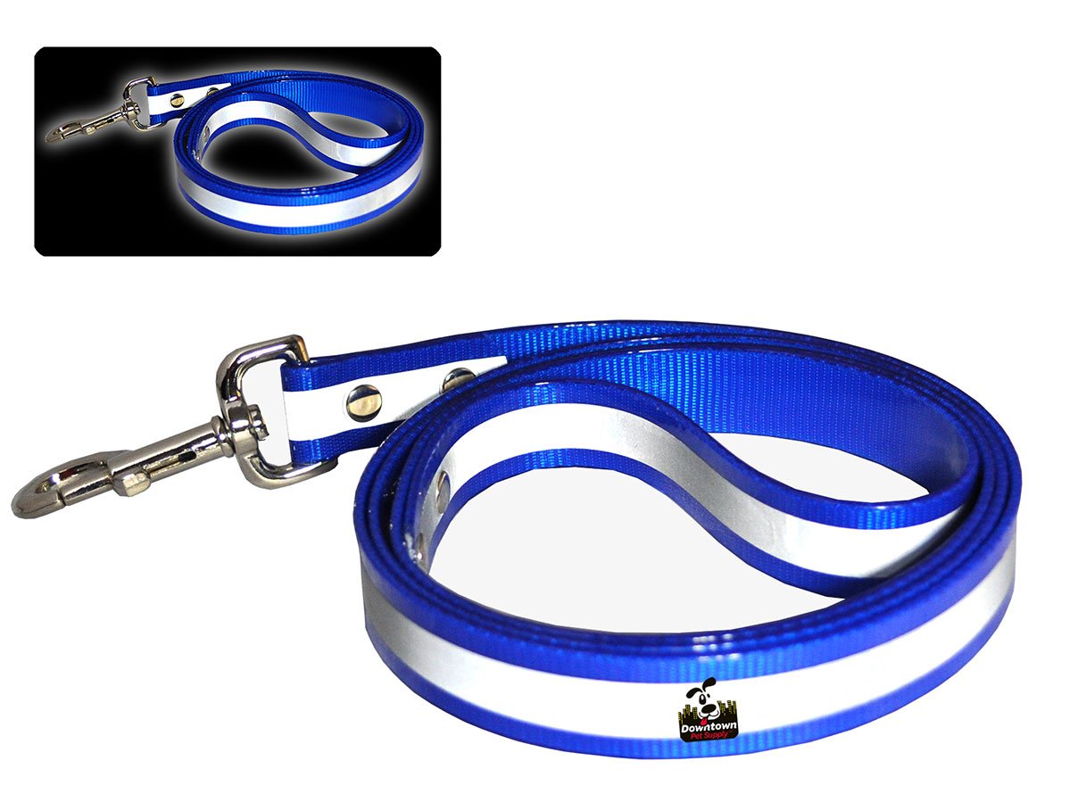 5' Long Reflective Dog Leash - Multi-Color Options