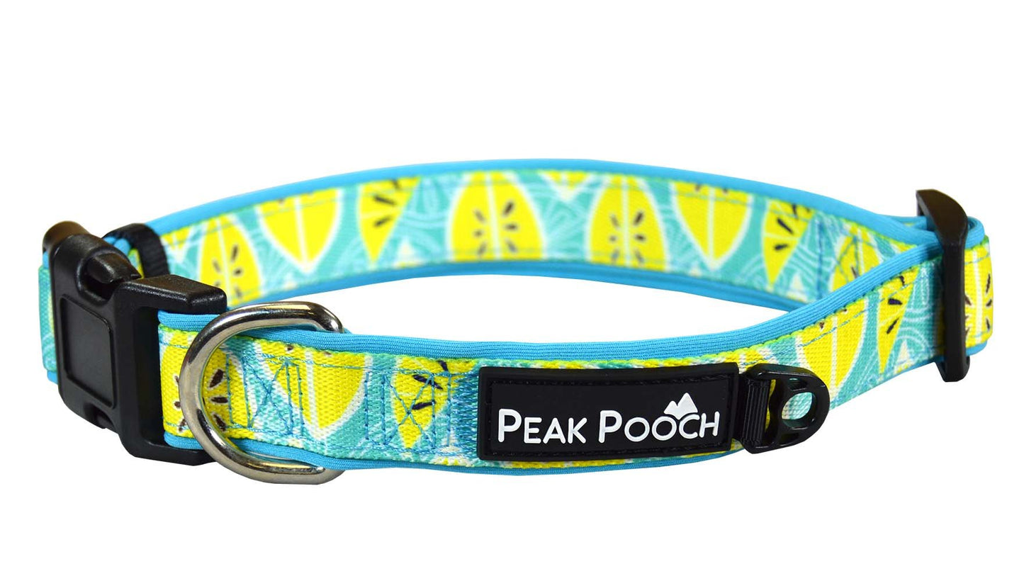 Adjustable Fruit Pattern Dog Collar - Multi-Size and Color Options