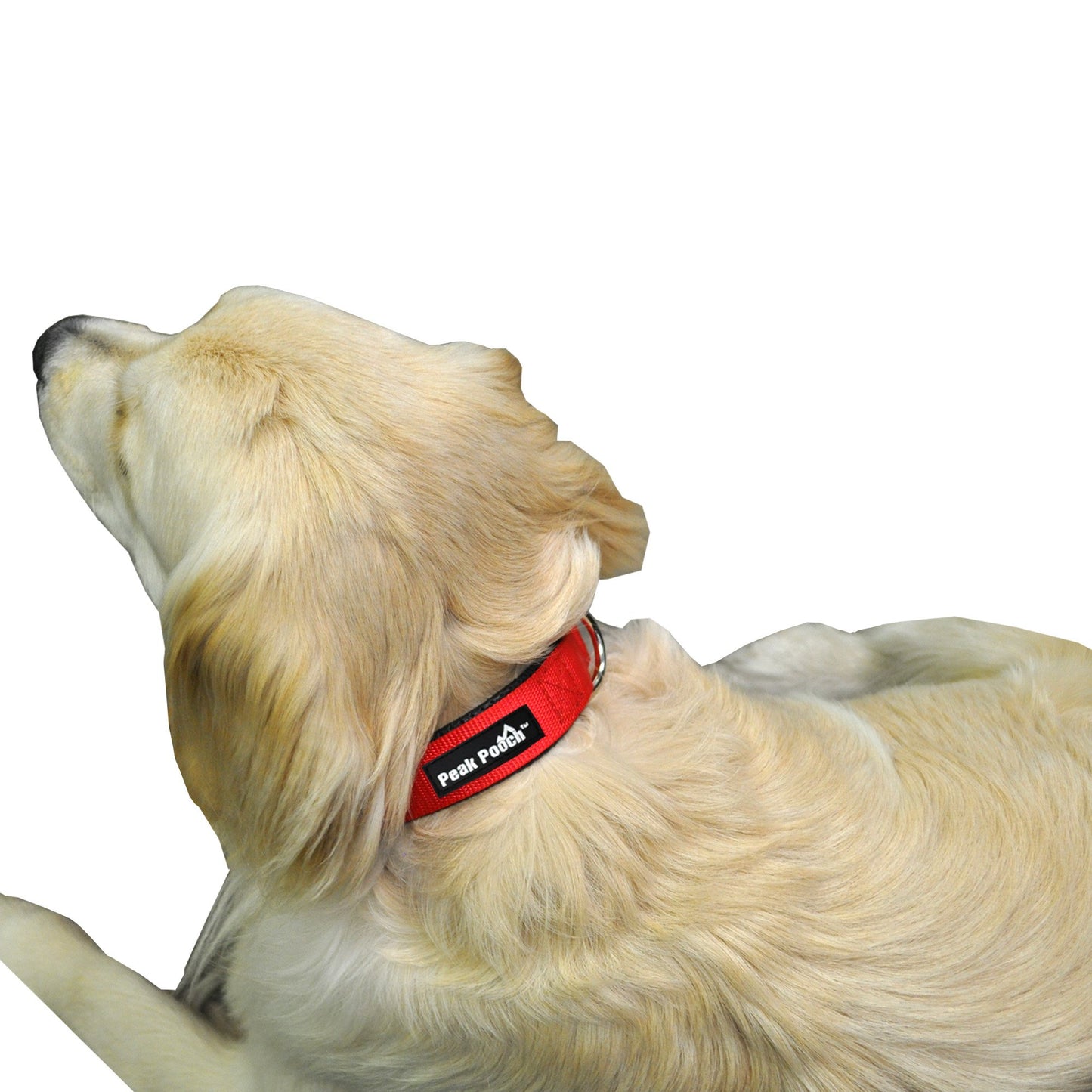 Adjustable Quick Release Dog Collar - Multi-Size and Color Options