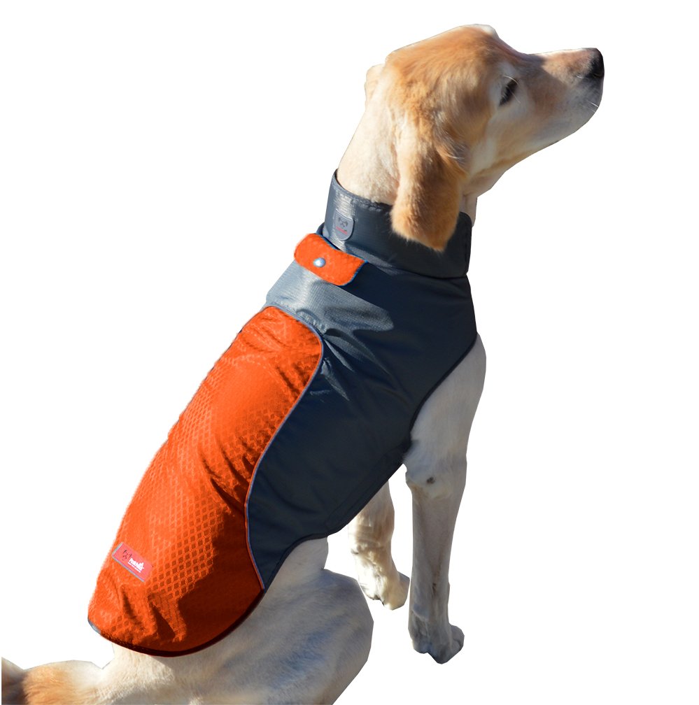 Cold Weather Dog Jacket - Multi-Color and Size Options