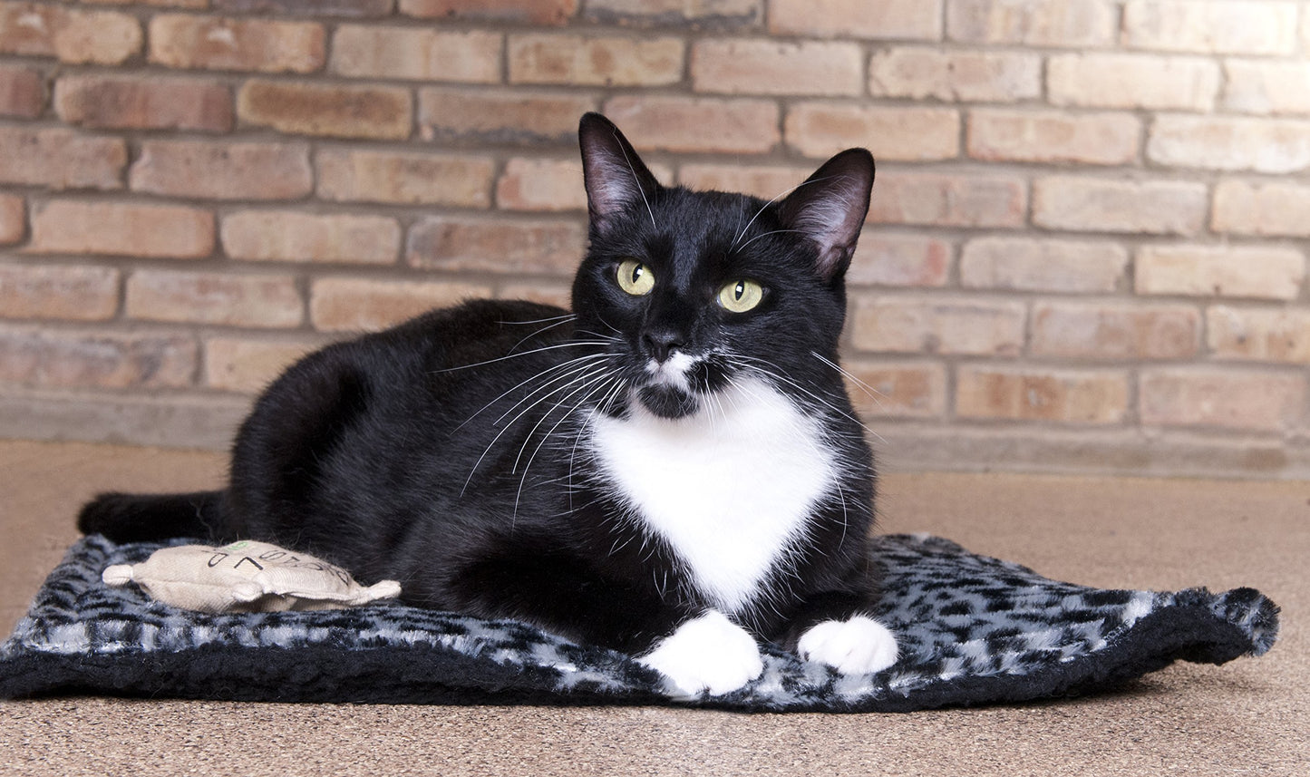 Thermal Bed Mat for Cats - Soothing Mylar Plush