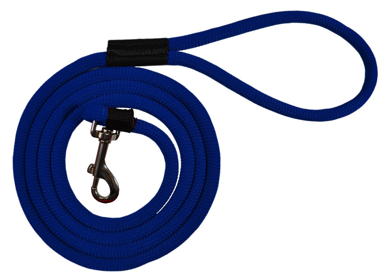 Durable 2' and 6' Long Dog Rope Leash - Multi-Color Options