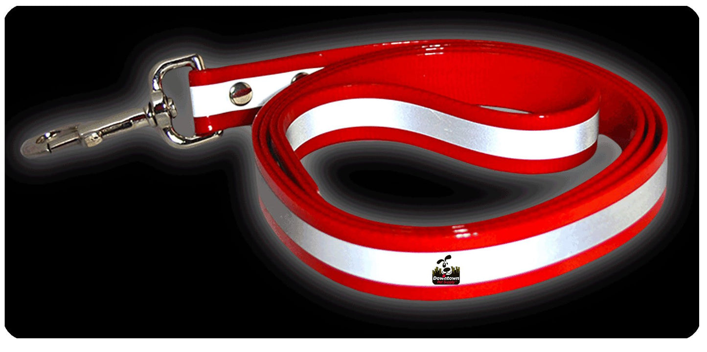 5' Long Reflective Dog Leash - Multi-Color Options
