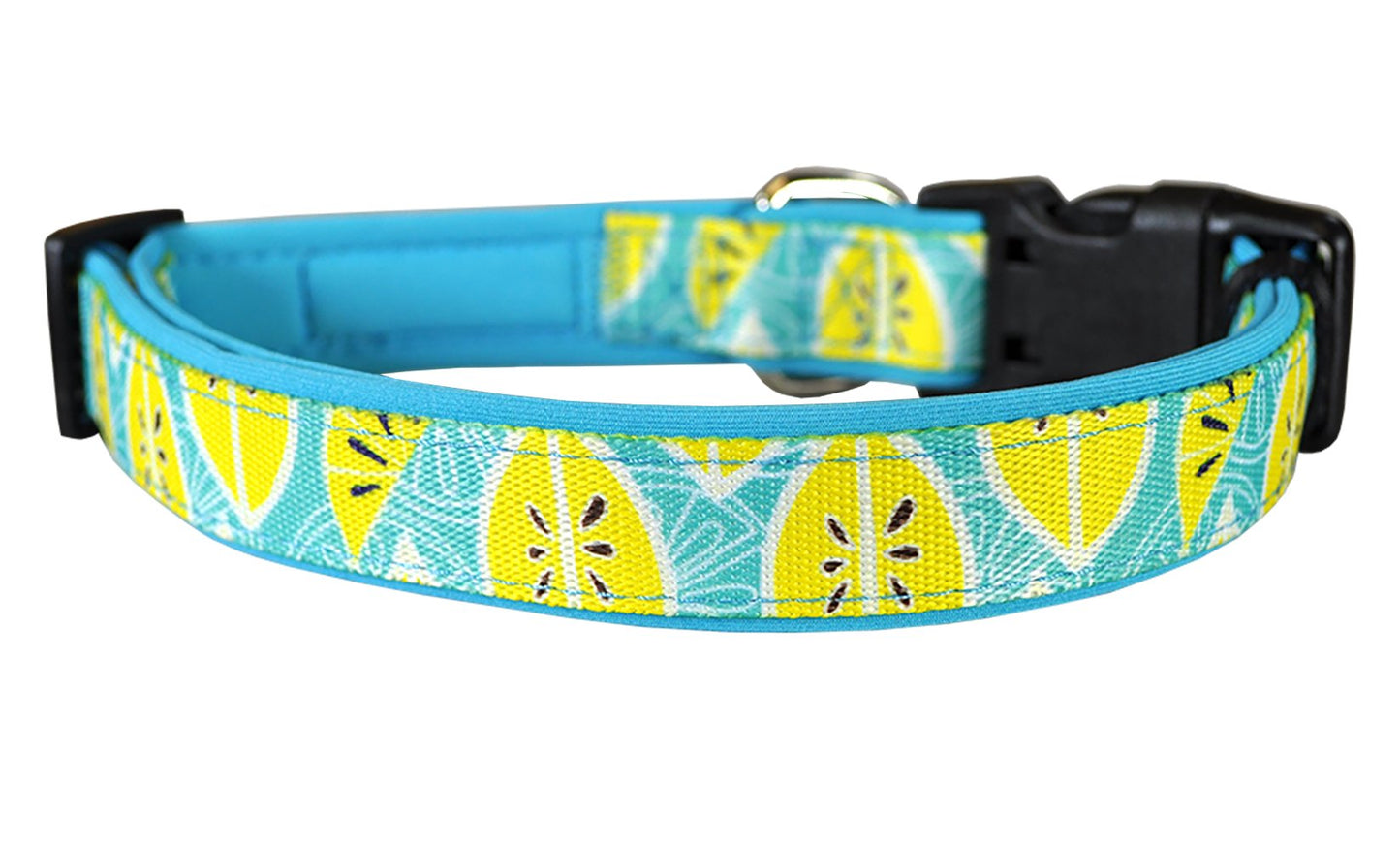 Adjustable Fruit Pattern Dog Collar - Multi-Size and Color Options