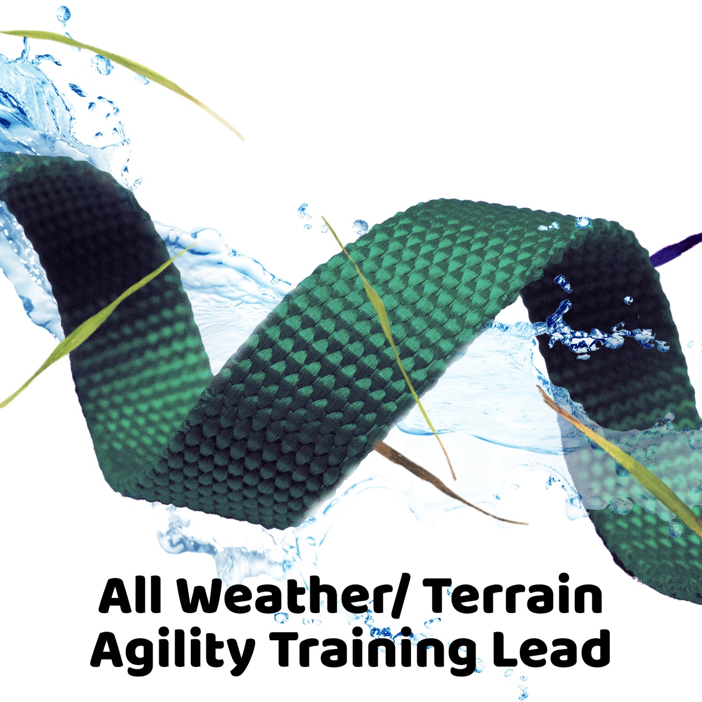 Long Dog Leash, Training Lead