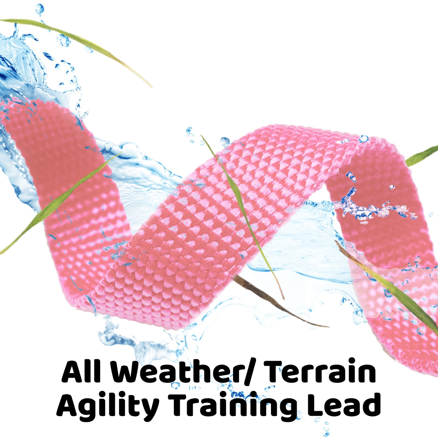 Long Dog Leash, Training Lead