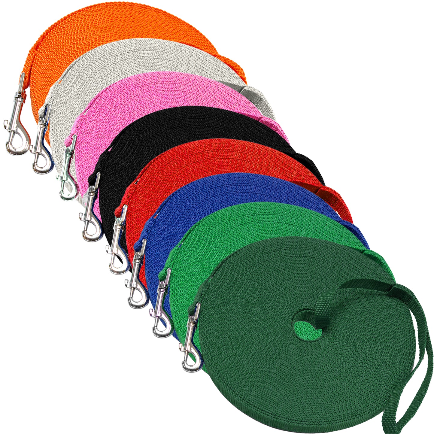 Long Dog Leash, Training Lead