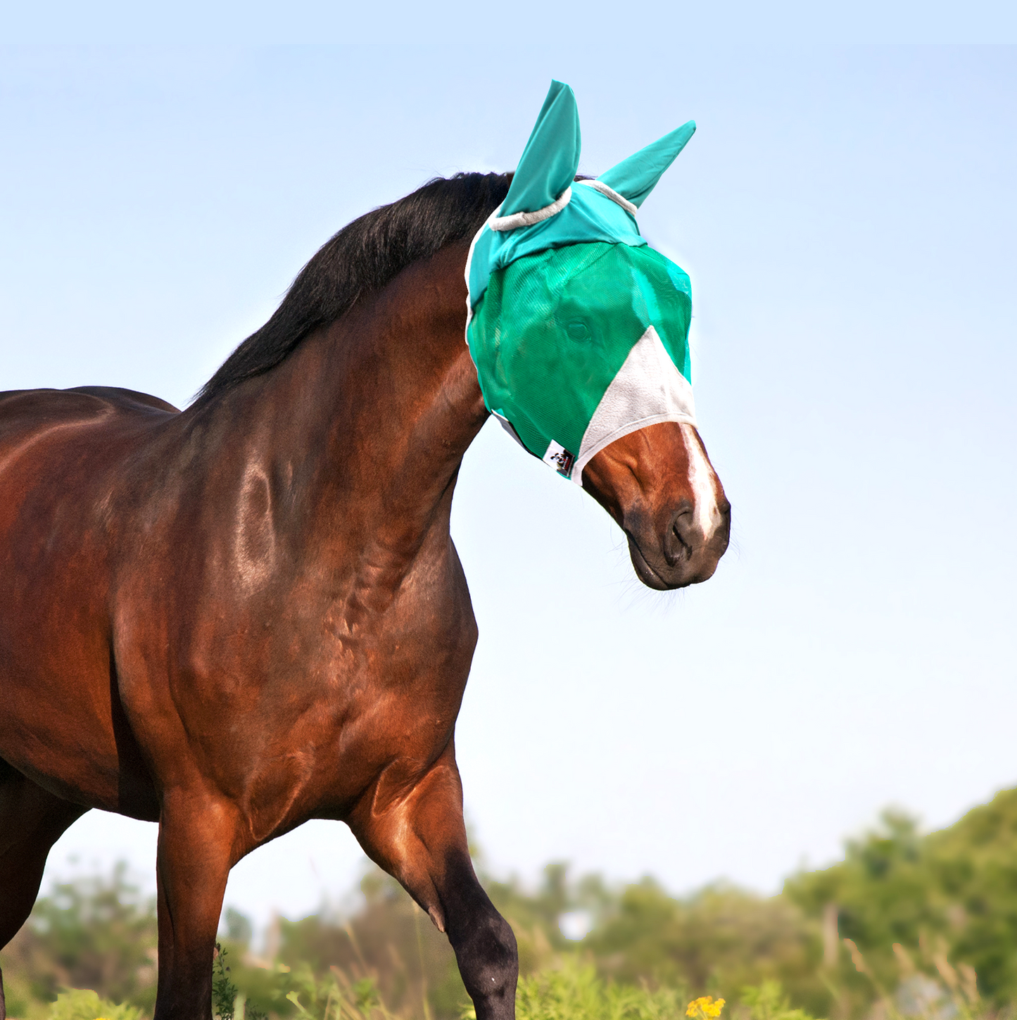Horse Fly Mask with Ears or with Nose, Equine Face Fine Mesh Without Ears or Nose, Head Cover for Horses