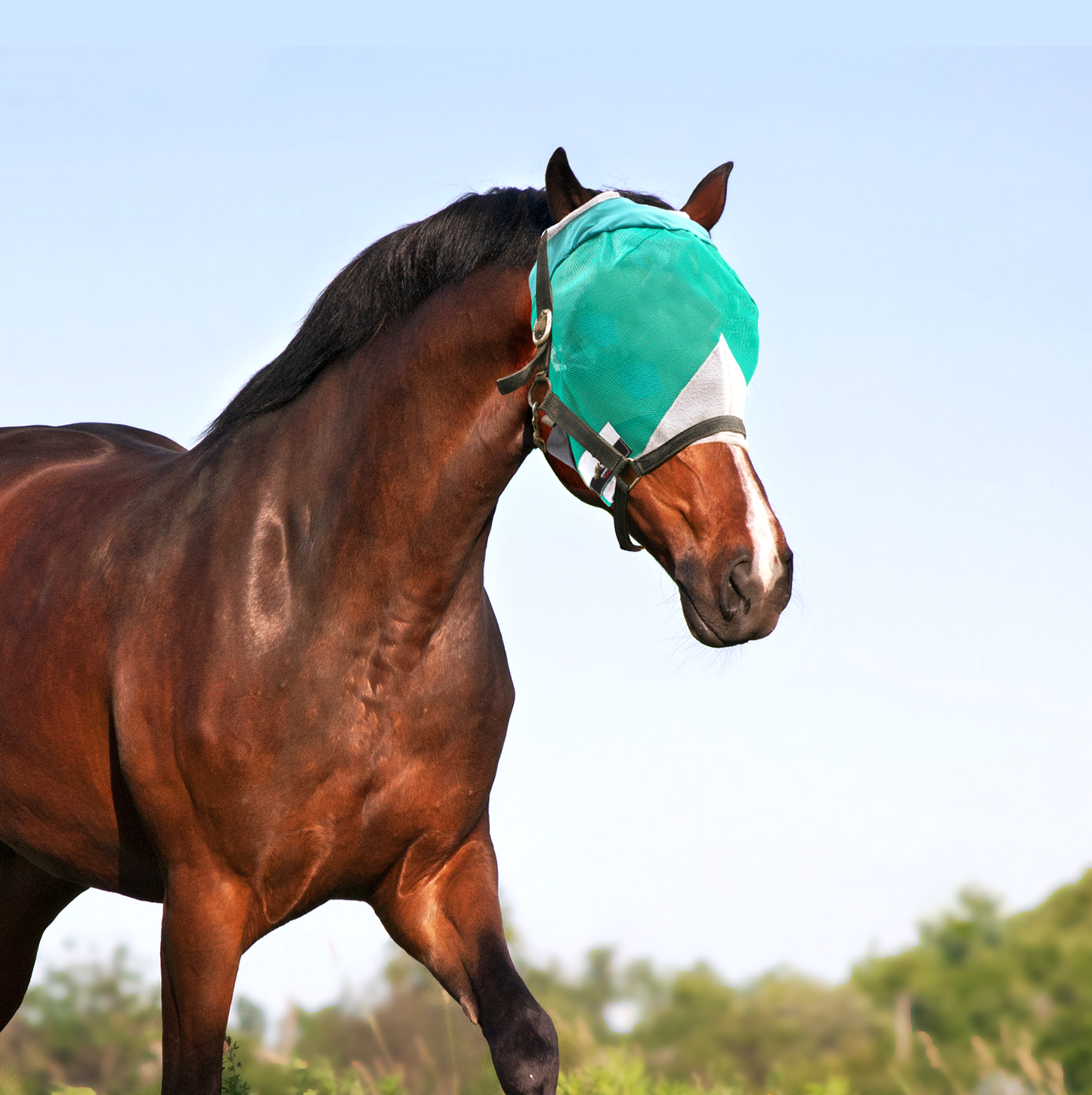 Horse Fly Mask with Ears or with Nose, Equine Face Fine Mesh Without Ears or Nose, Head Cover for Horses