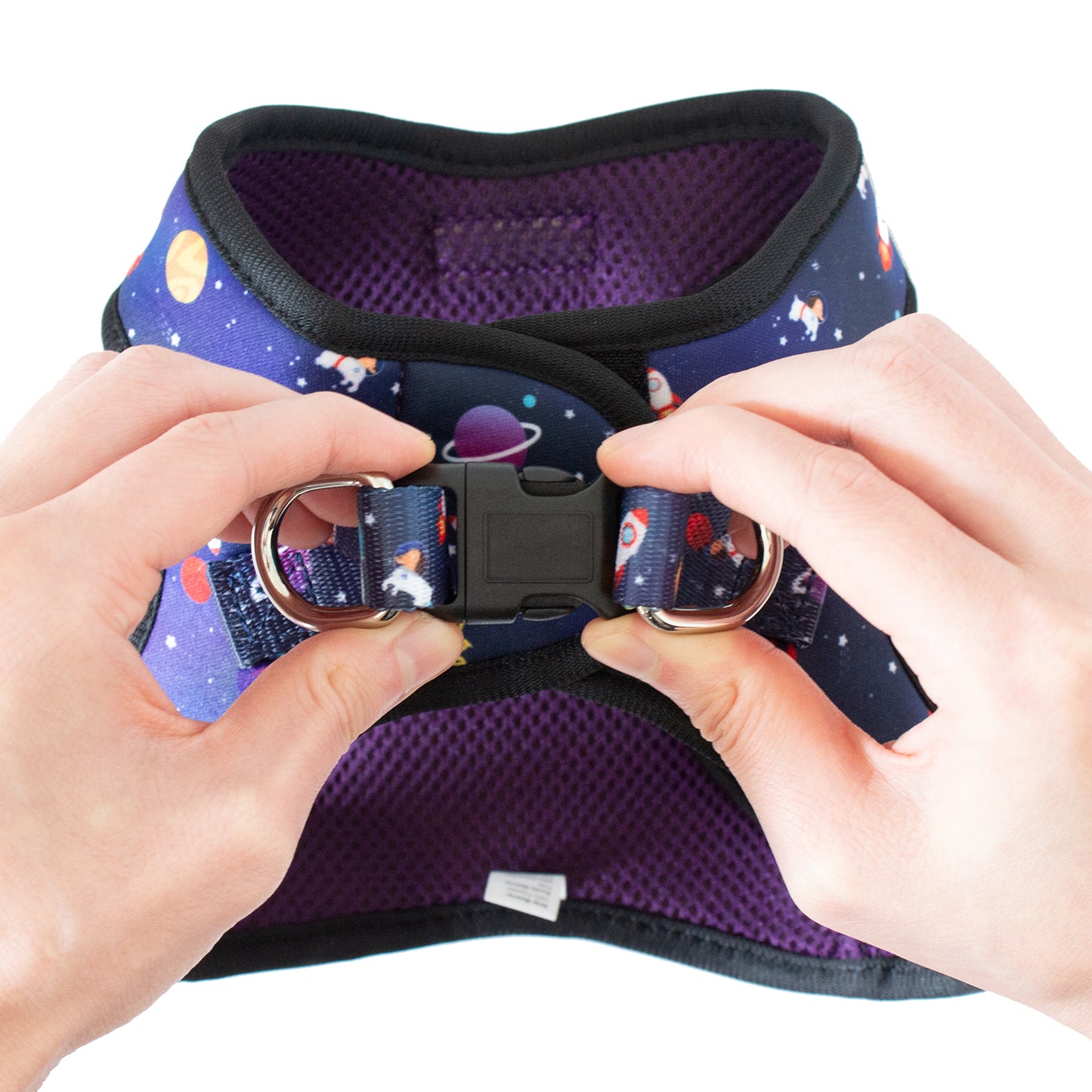 Best No Pull, Step in Adjustable Comfort Dog Harness, Easy to Put on Small & Medium Dogs