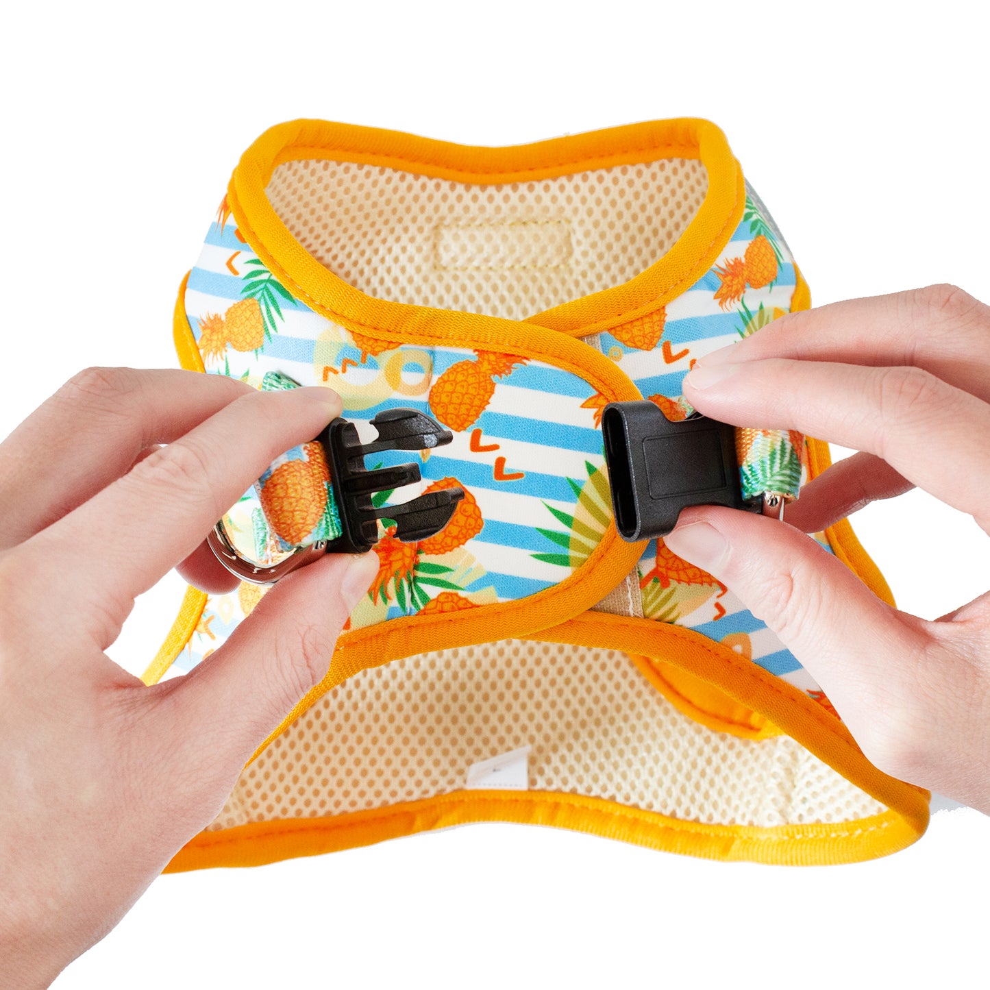 Best No Pull, Step in Adjustable Comfort Dog Harness, Easy to Put on Small & Medium Dogs