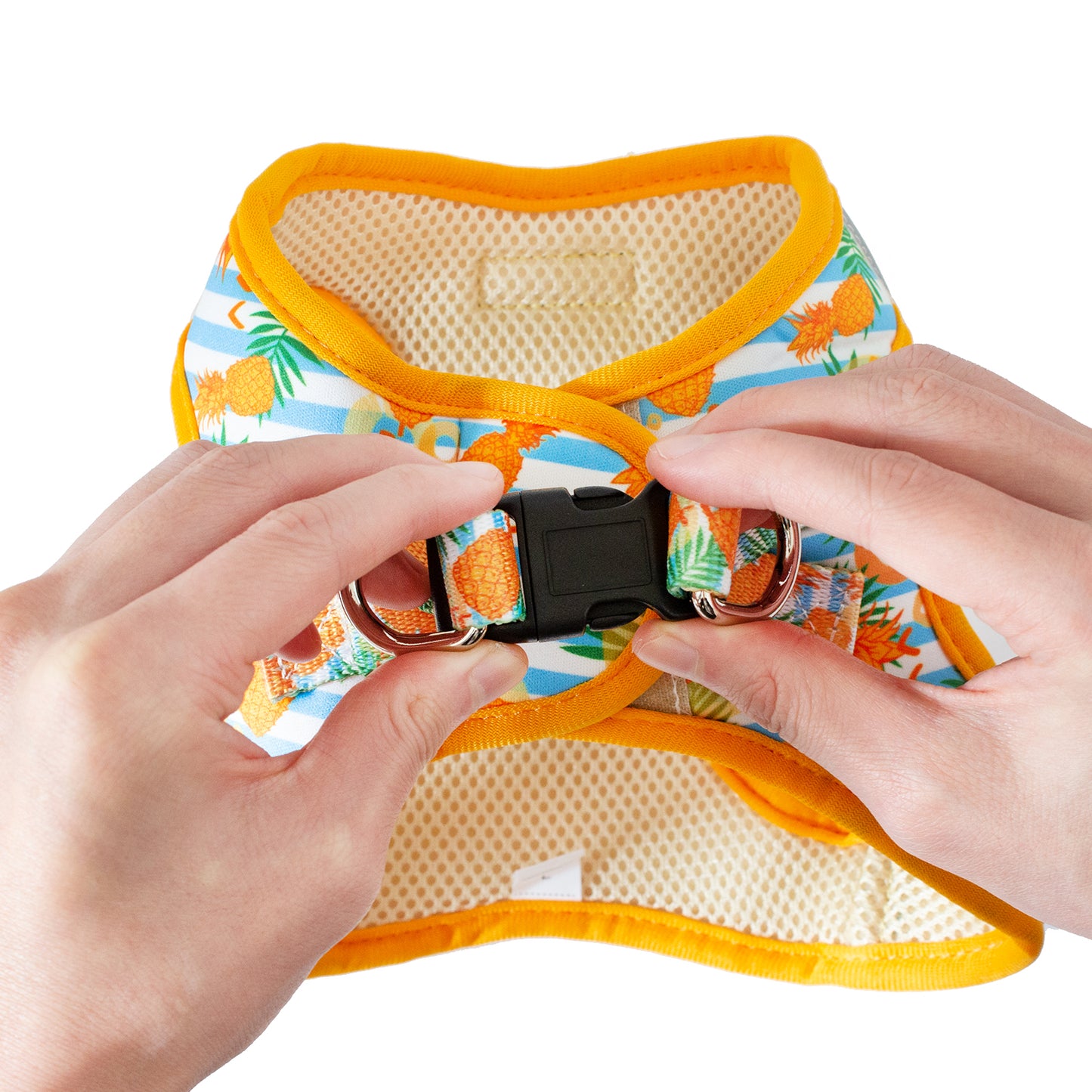Best No Pull, Step in Adjustable Comfort Dog Harness, Easy to Put on Small & Medium Dogs