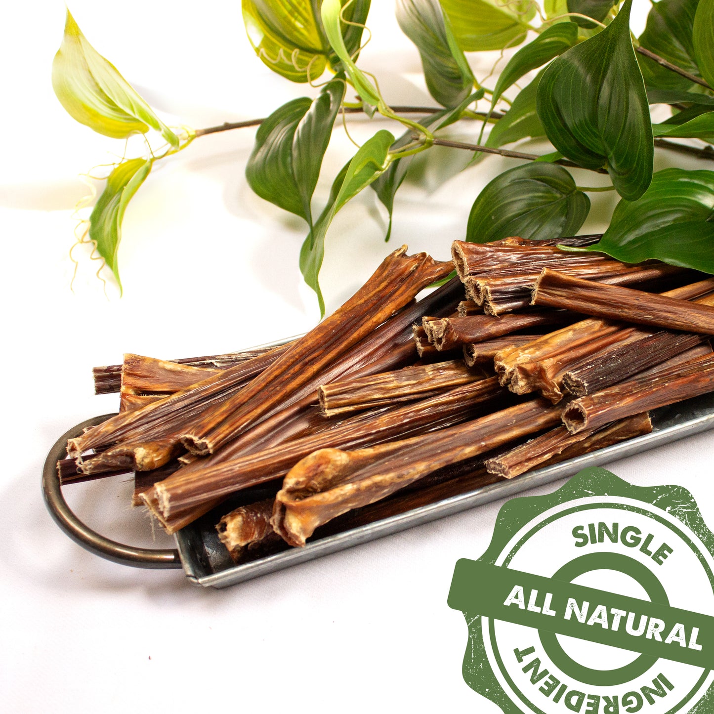 6" and 12" Beef Sticks - Natural Gullet Chew Treat - Pack Options