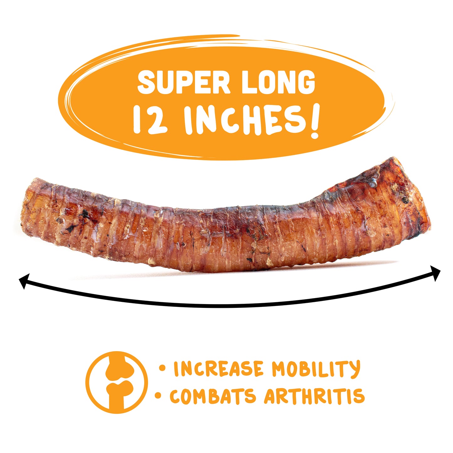 3-12" Beef Trachea for Dogs - Natural Chew Treats - Multi-Pack Options
