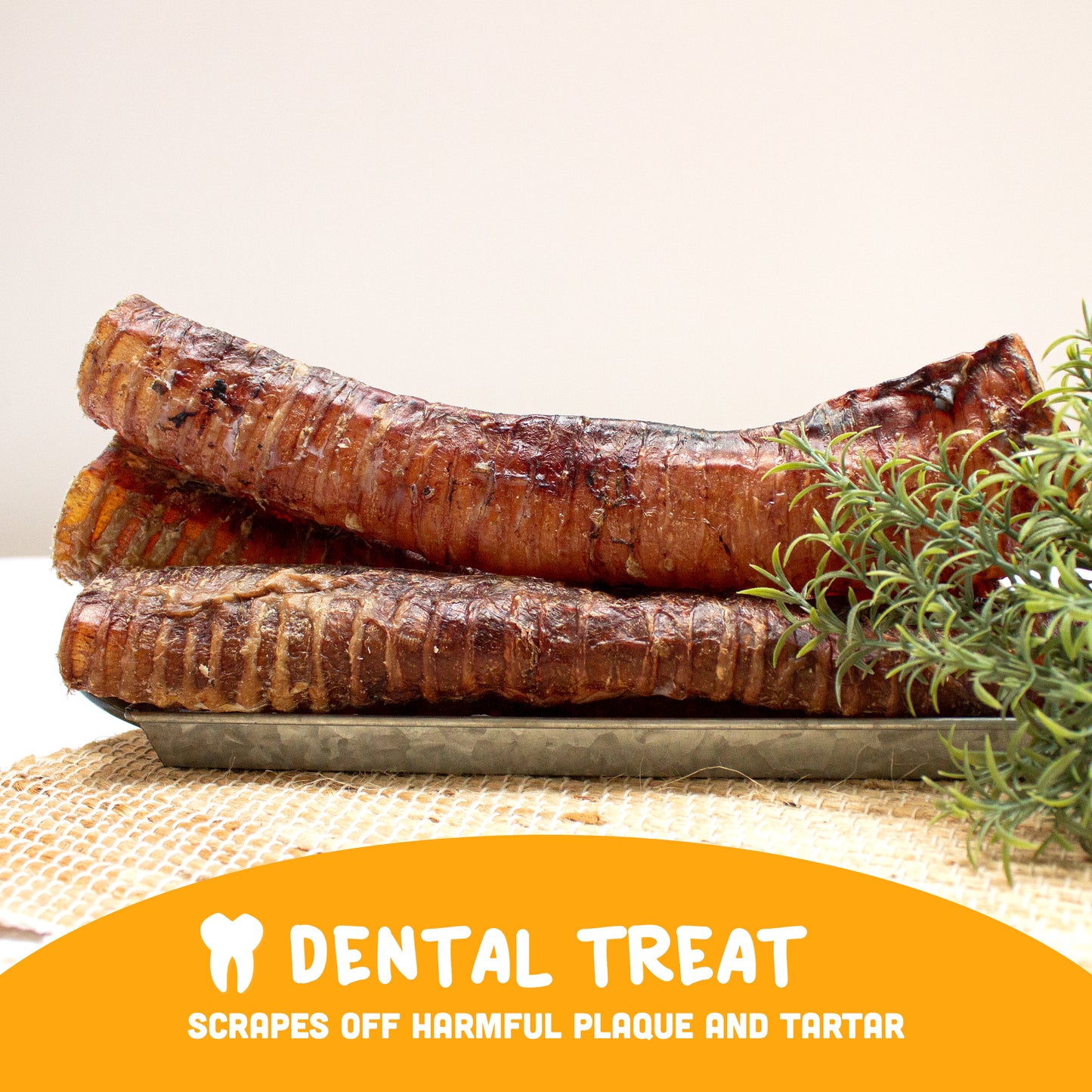 3-12" Beef Trachea for Dogs - Natural Chew Treats - Multi-Pack Options