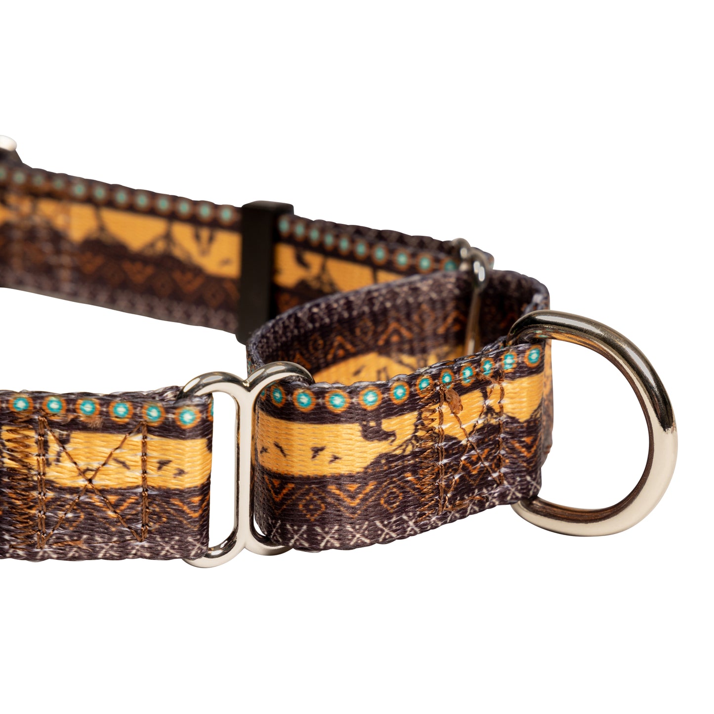 Durable Collar for Dog - Training Collar - Multi-Style and Size