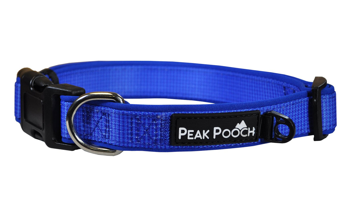 Adjustable Designer Dog Collar - Multi-Size and Color Options
