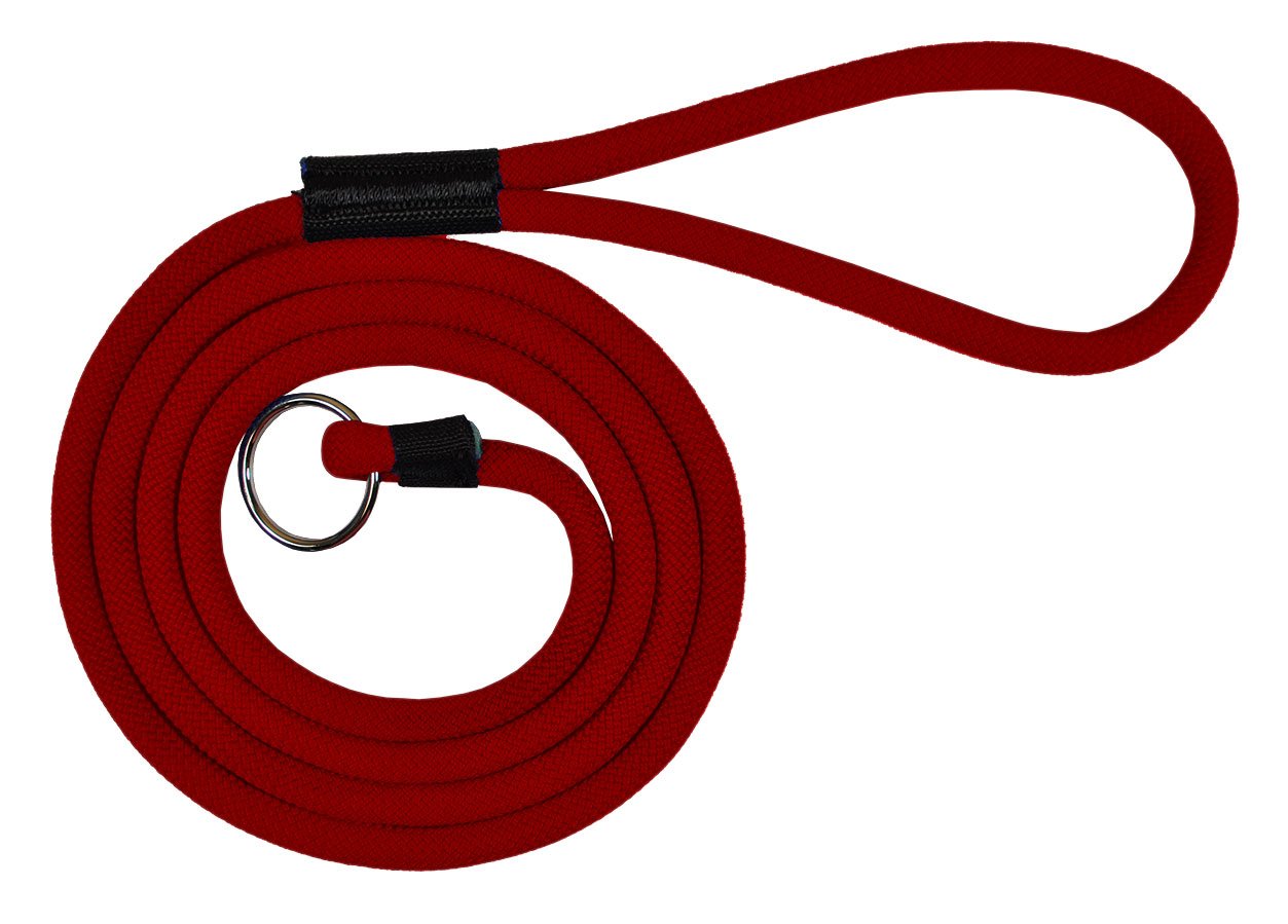 Durable 6' Long Dog Slip Lead Leash - Multi-Color Options