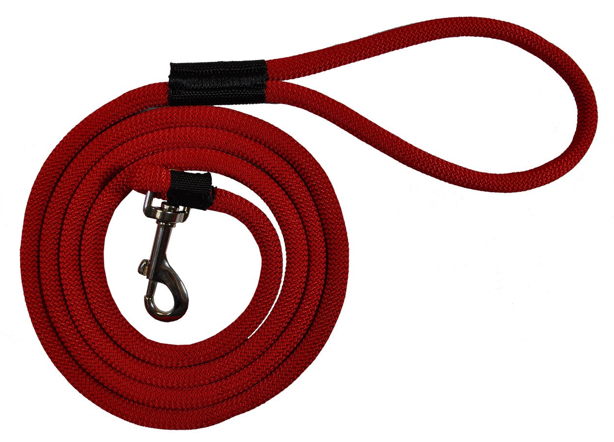 Durable 2' and 6' Long Dog Rope Leash - Multi-Color Options