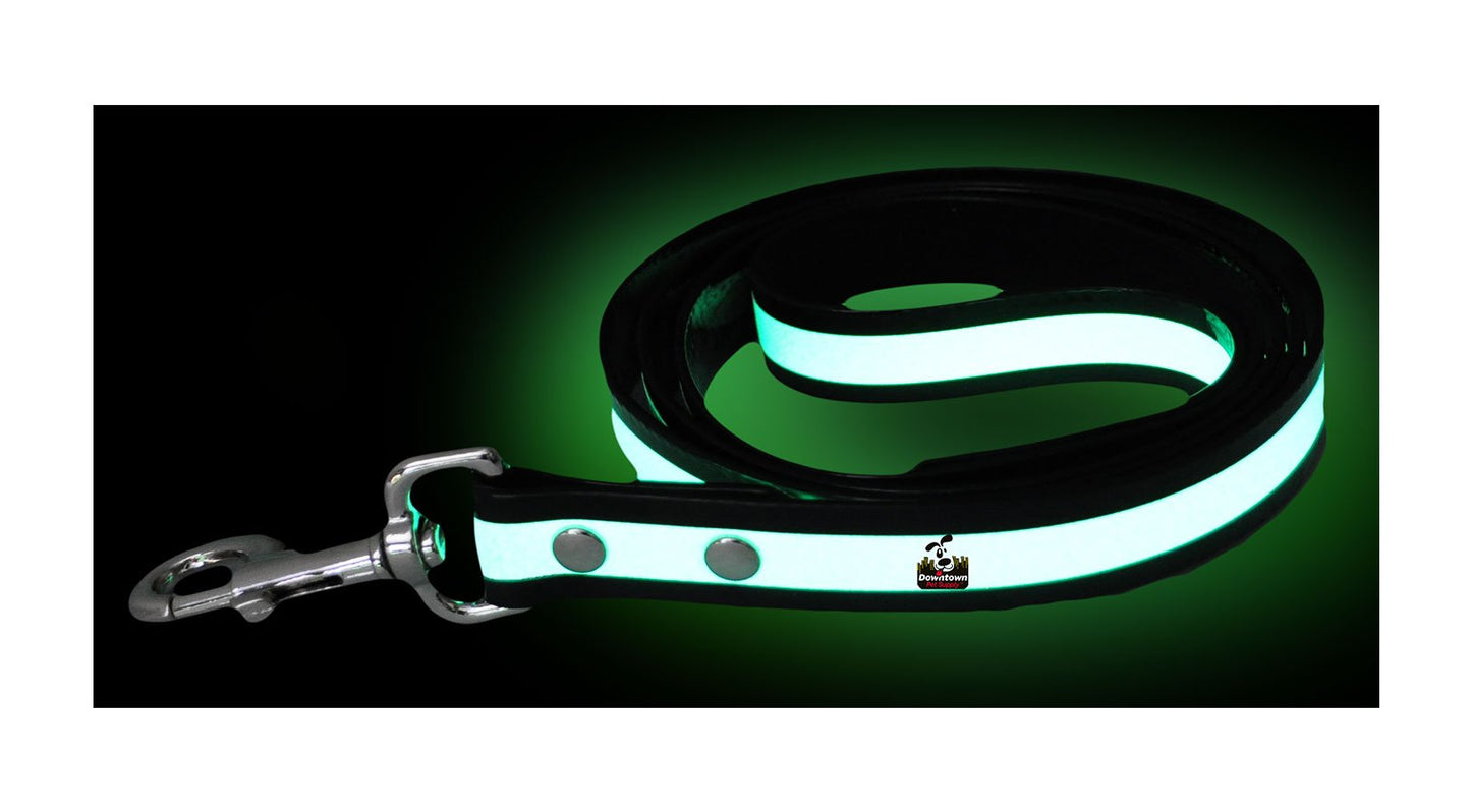 Dog Leash - Glow In The Dark - Multi-Color Options