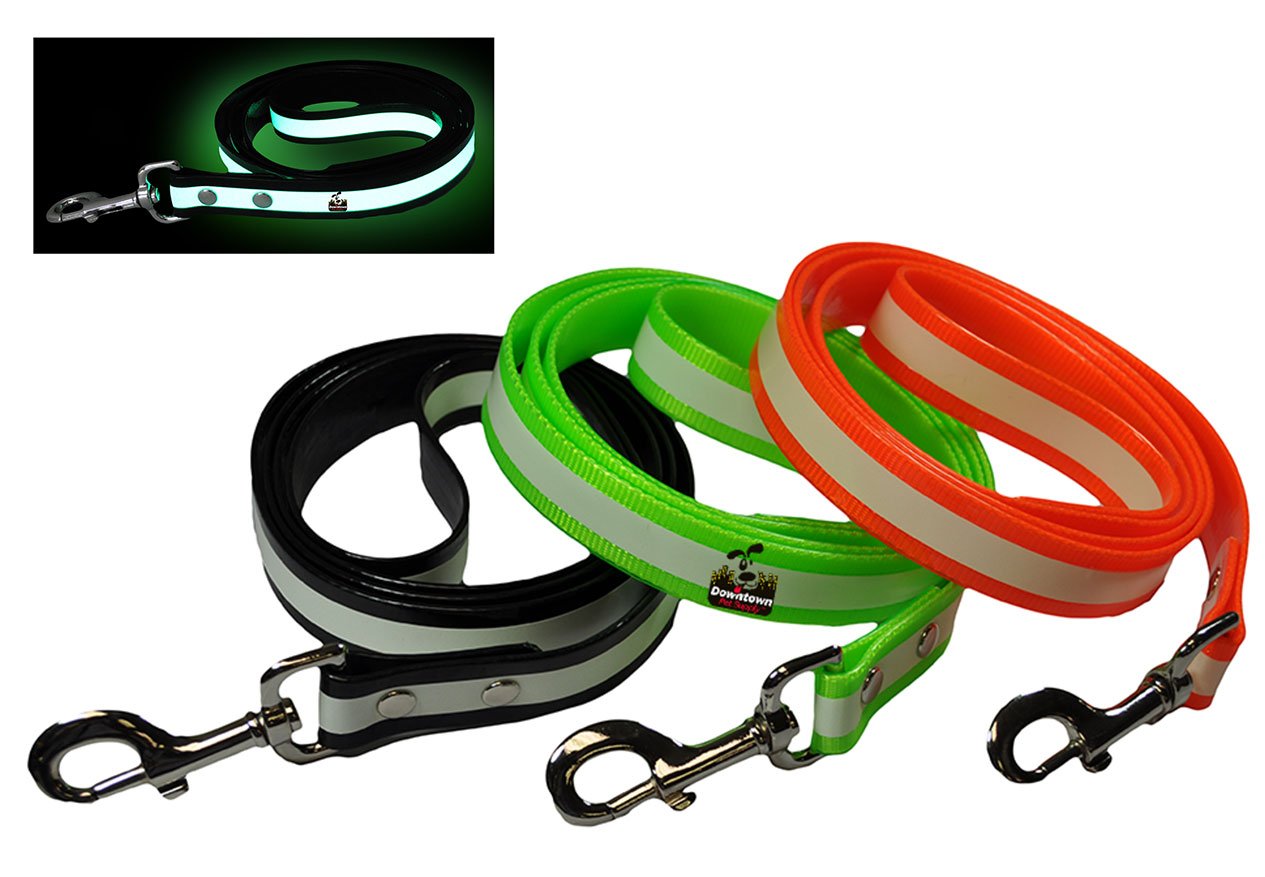 Dog Leash - Glow In The Dark - Multi-Color Options