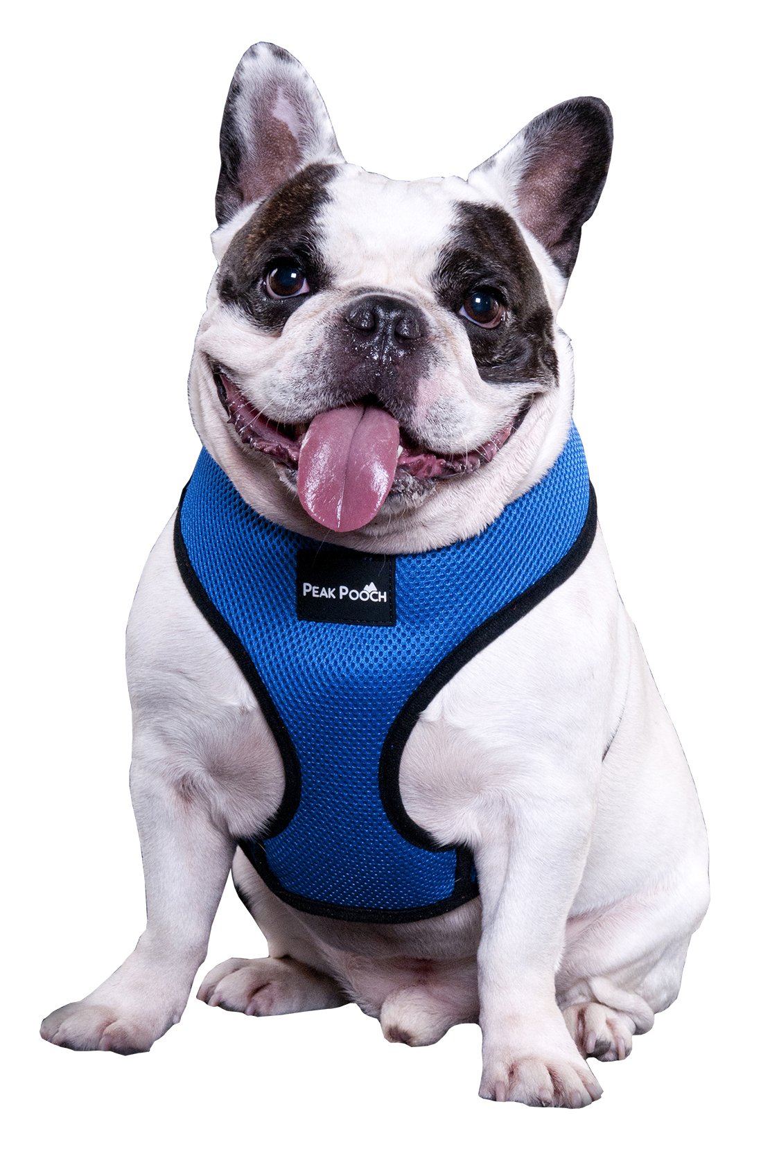 Peak Pooch Comfort Harness, Puppies, Small and Medium Dogs