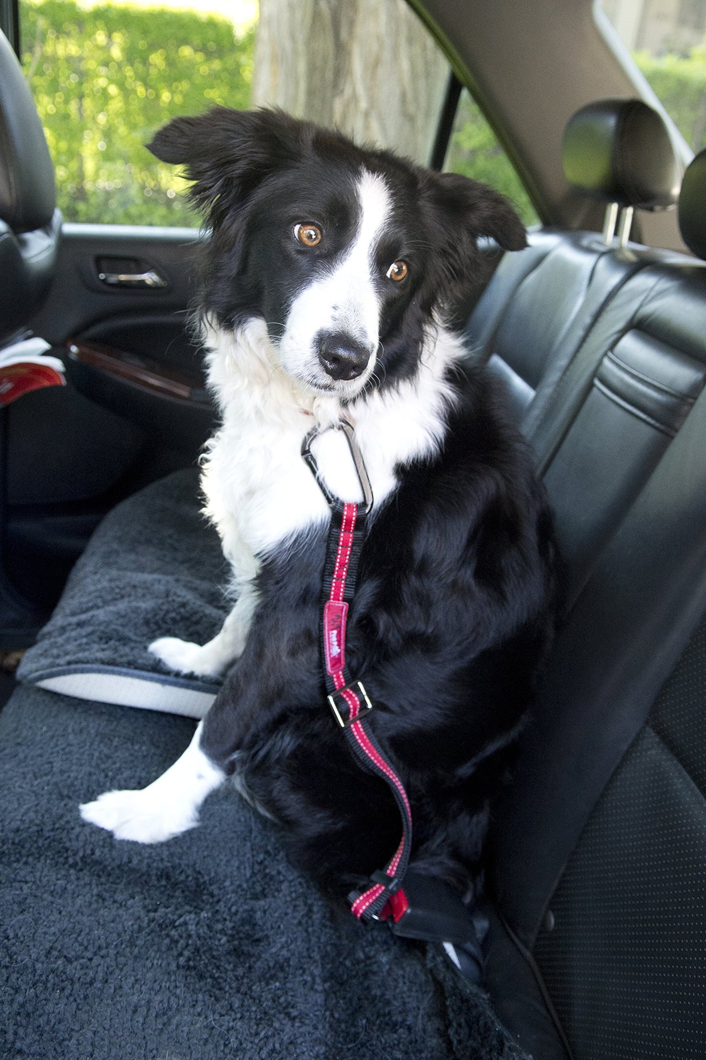 Heavy Duty Universal Dog Seatbelt, Adjustable Safety Restraint For Travel