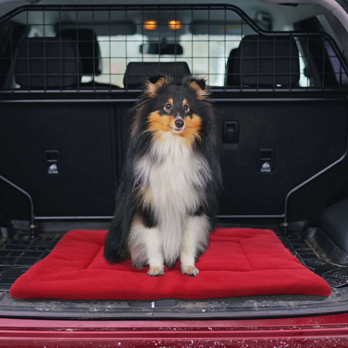 Dog Crate Mat - Comfort Fleece Pad Bed - Multi-Size and Color Options