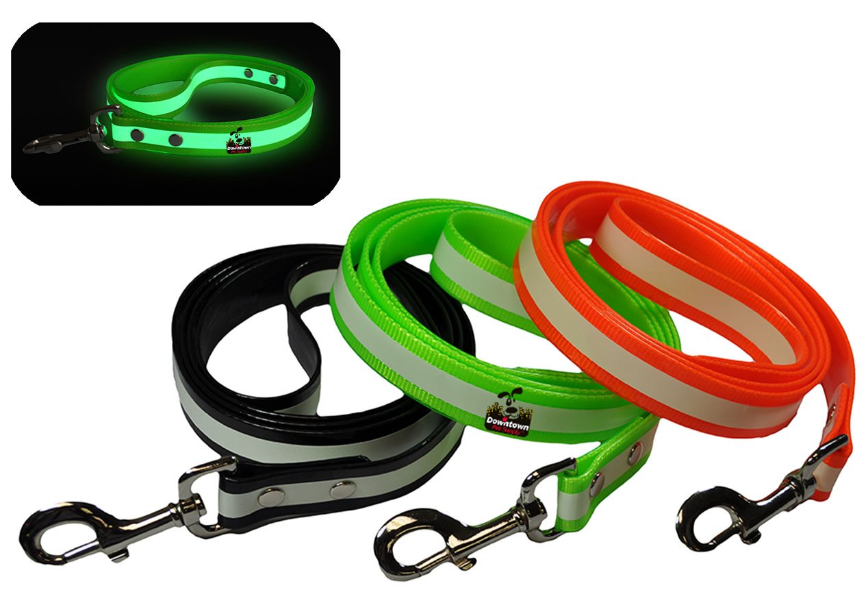 Dog Leash - Glow In The Dark - Multi-Color Options