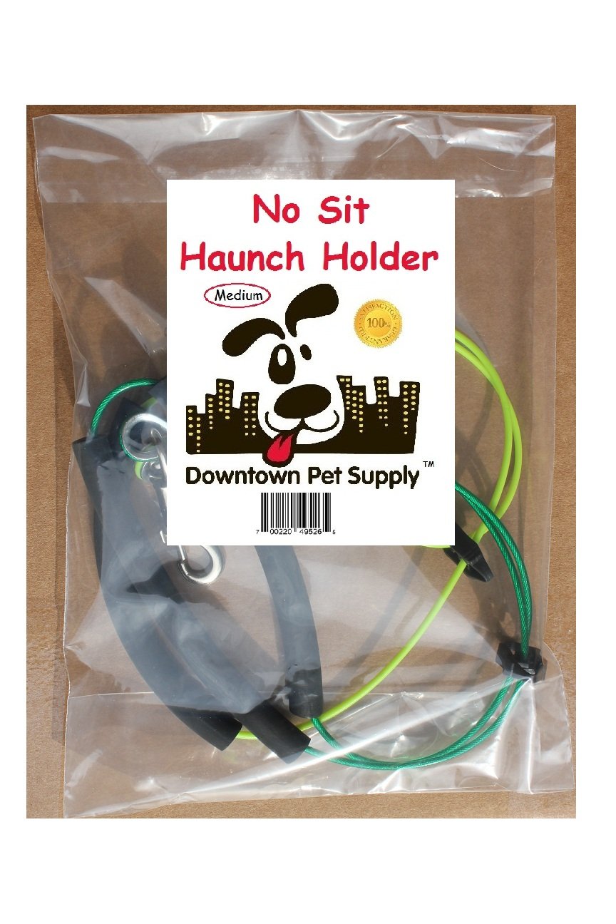 No Sit Haunch Holder Dog Grooming Restraint