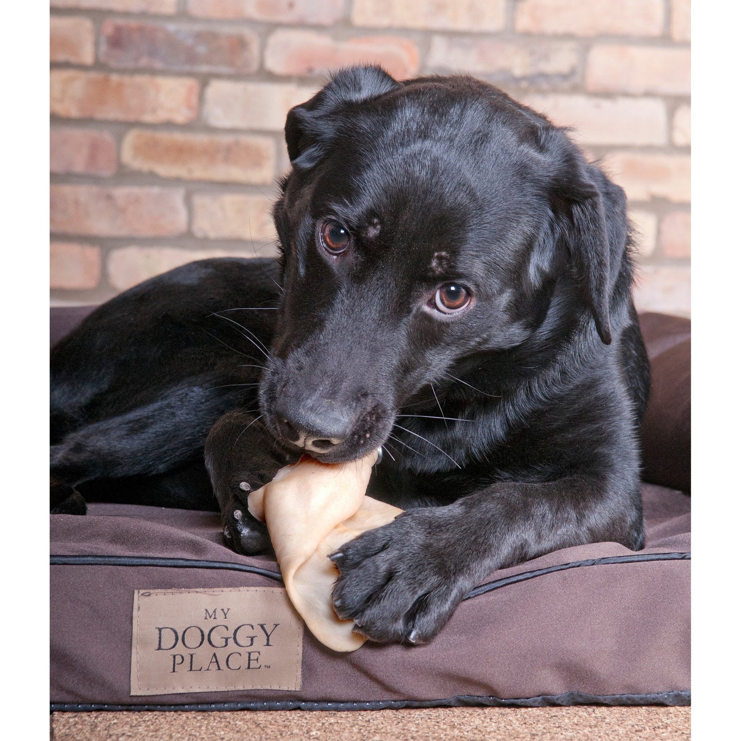 Cow, Goat and Lamb Ears for Dogs - Natural Treats - By Pack