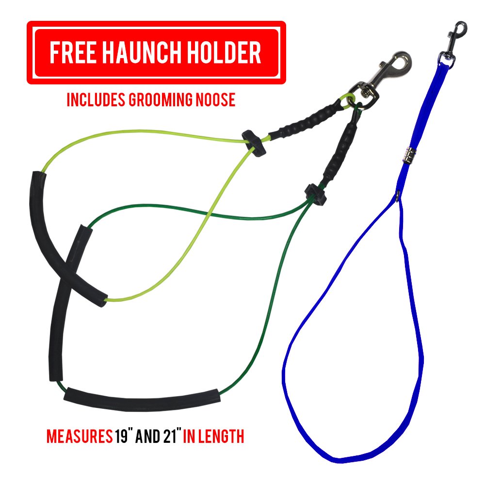 Foldable Pet Grooming Arm with Clamp, Dog Grooming loop and No Sit Haunch Holder - Innovative Portable Grooming Arms