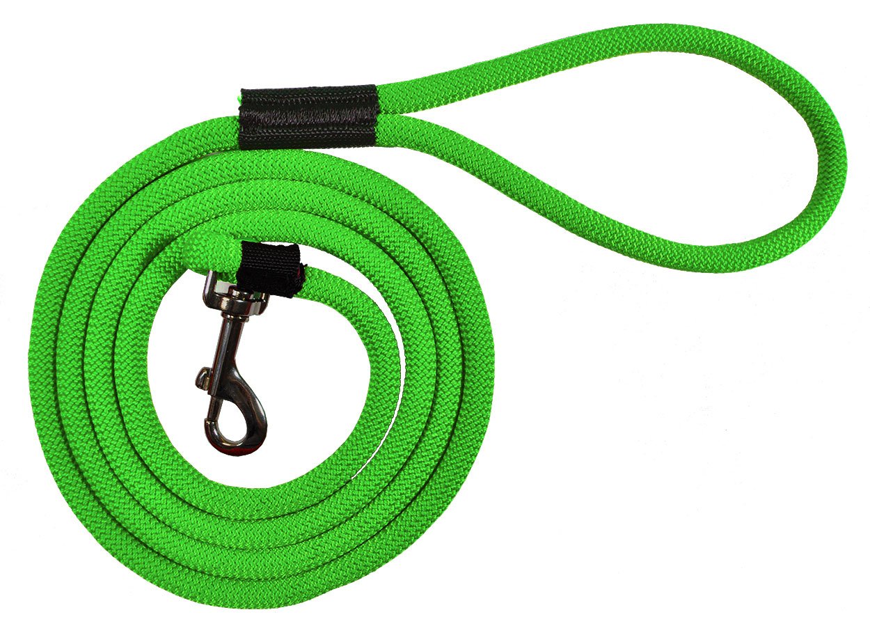 Durable 6' Long Dog Slip Lead Leash - Multi-Color Options