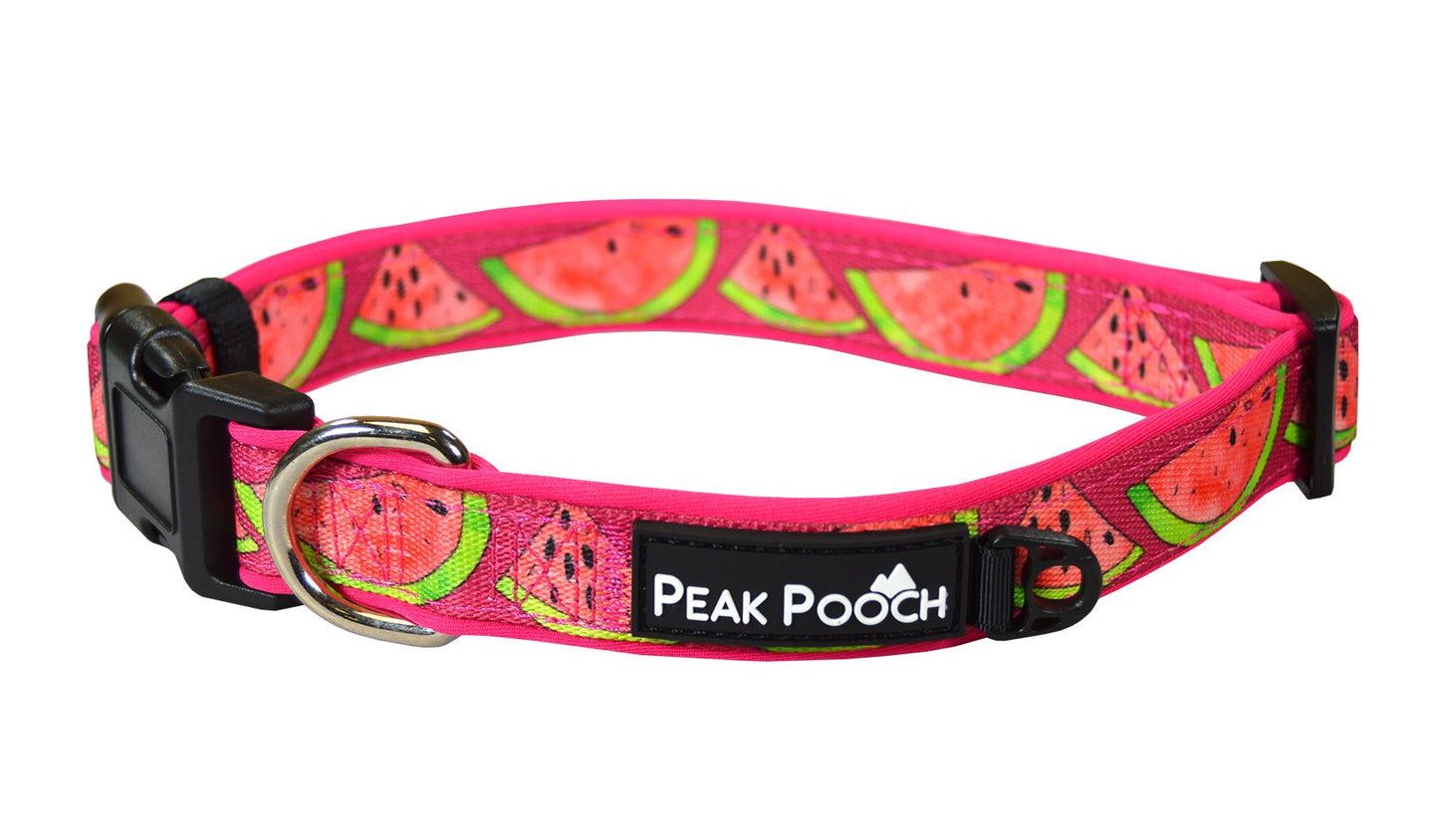 Adjustable Fruit Pattern Dog Collar - Multi-Size and Color Options