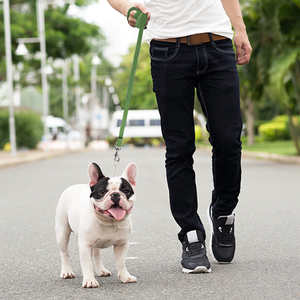 Long Dog Leash, Training Lead