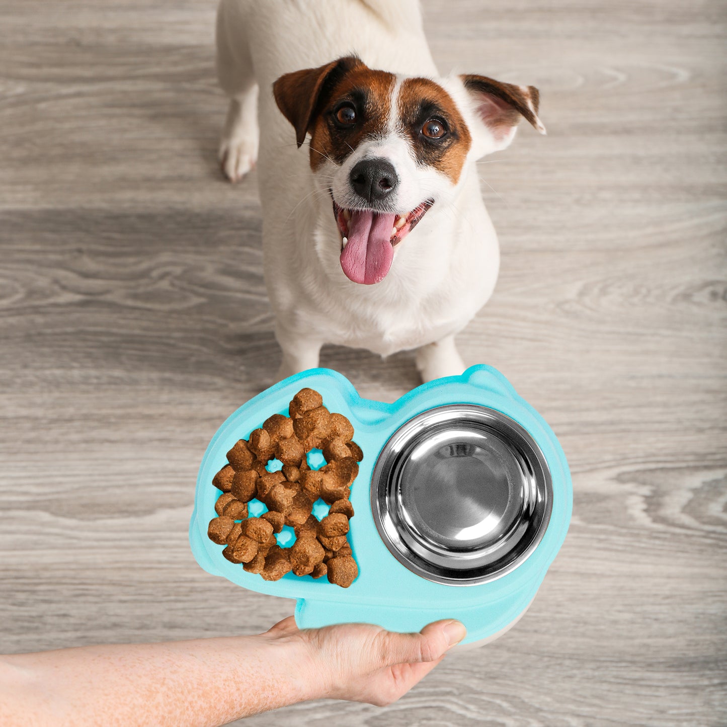 Slow Feed Dog Bowl with Steel Water Bowl - Multi-Color Options