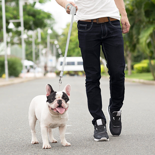 Long Dog Leash, Training Lead