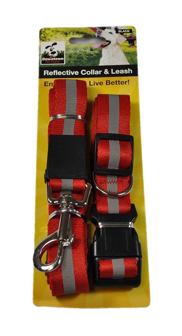 Pet Nylon Adjustable Reflective Dog Collar and Leash Set