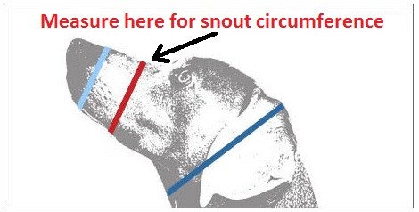 Dog Muzzle with Adjustable Strap - Multi-Pack and Color Options