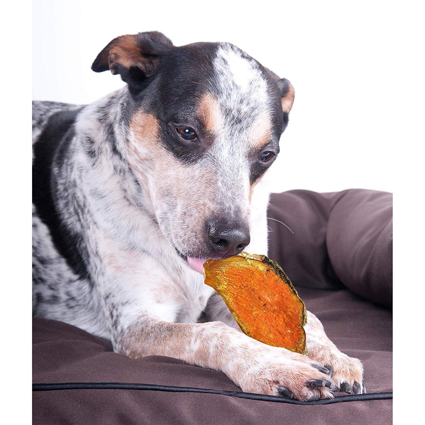 Dehydrated Sweet Potato Dog Treats - 100% Natural Chews - By Weight