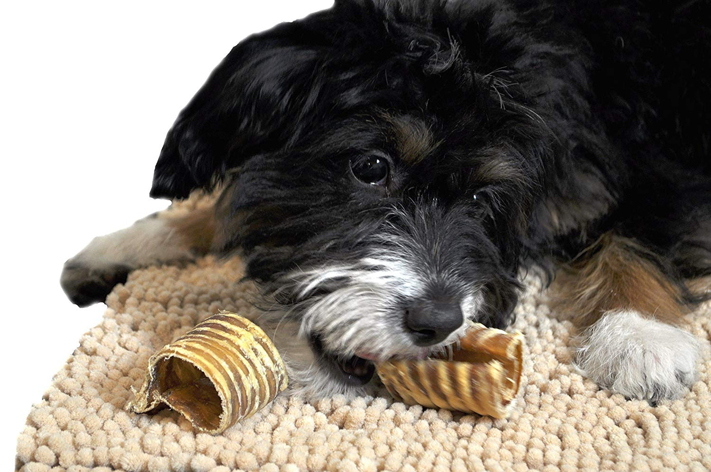 3-12" Beef Trachea for Dogs - Natural Chew Treats - Multi-Pack Options