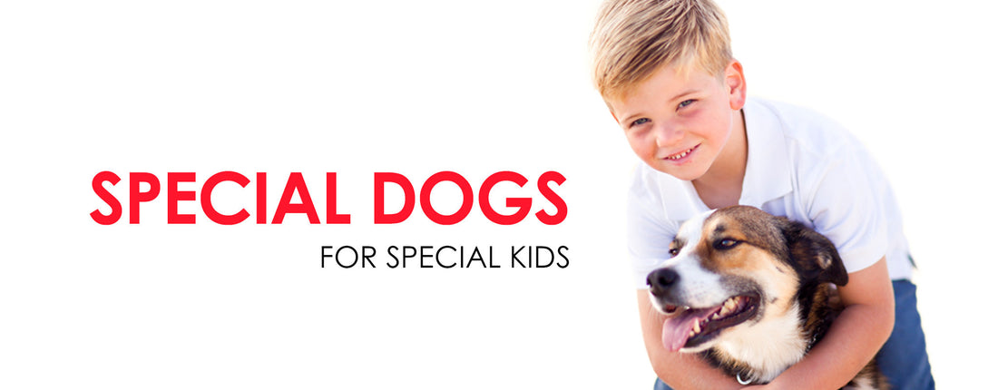 Special Dogs for Special Kids